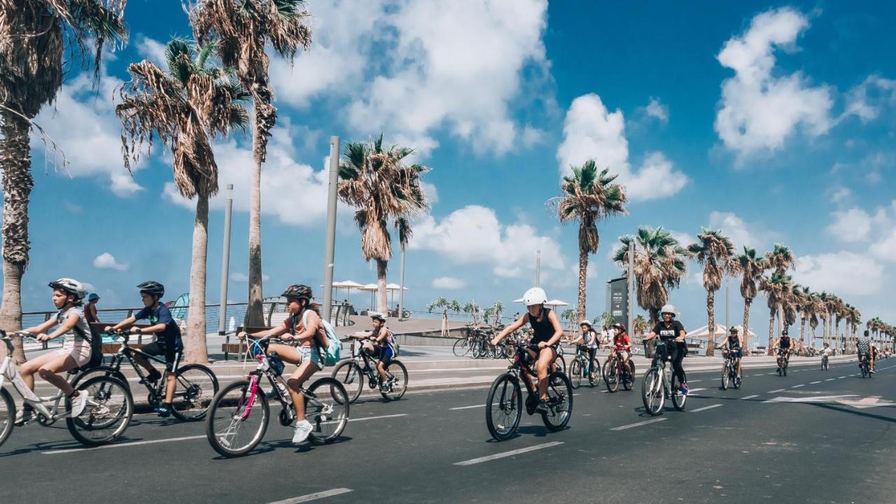 מונוכרום - אוטונומי מבית לוג-אין תל אביב