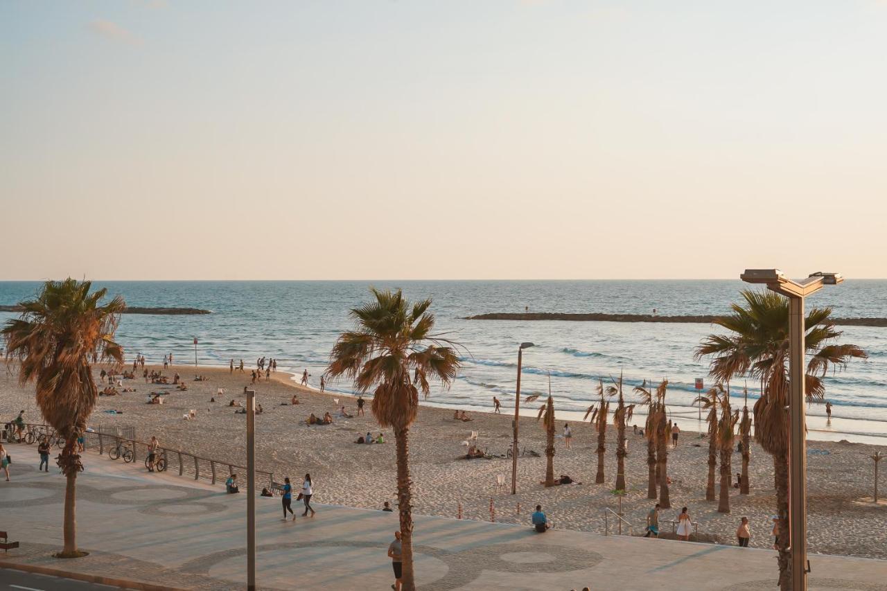 מונוכרום - אוטונומי מבית לוג-אין תל אביב